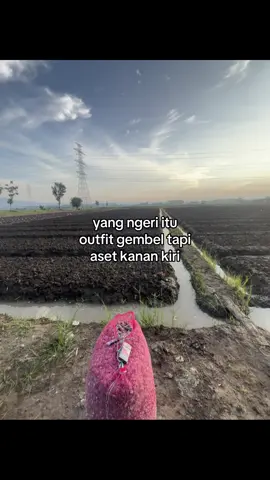 Asli 