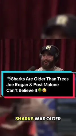 Post Malone is a rapper, singer, songwriter, and producer. His latest album, 