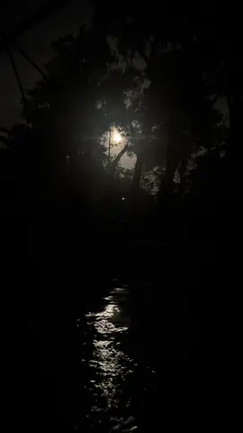 #moonlight #moon #nightswim 
