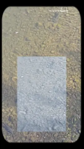 #CapCut 