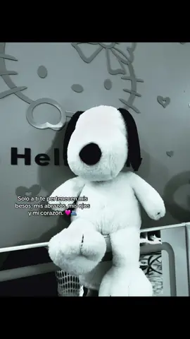 #Amor#foryouuuuuuuu#TeAmo#snoppy#viral #tiktok #💘 