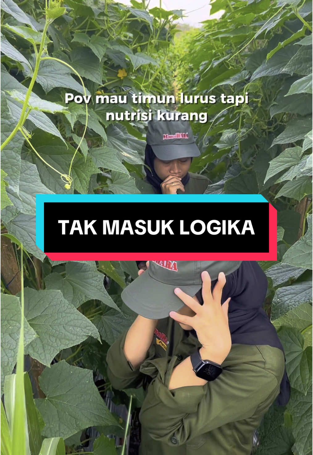 Yang mau2 aja ga untuk coba-coba😵‍💫  HALLO SOBAT MINMAN  Kalau timun kamu kecil dan ga lurus🫤HATI-HATI‼️Itu kurang NUTRISI ‼️ Jadi buat kamu yang mau tanam timun pastikan nutrisinya cukup ya beb😢🫵🏻 #kasimenyala🔥 #trend #manohara #petaniindonesia🇮🇩🇮🇩🇮🇩🌿🌿 #fyp #trend #fypageeeee #rekomendasi #manohara #pupukbestseller #4u 