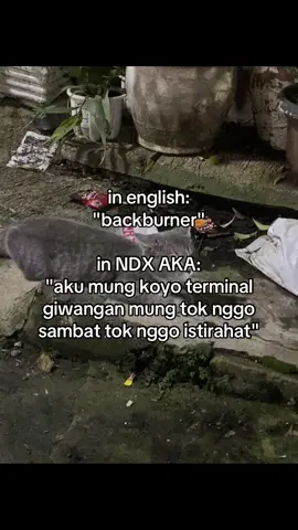 plan B😹 #fyp #ndx 