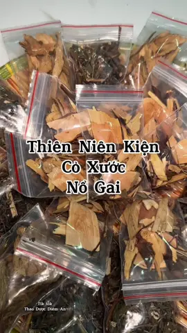 Đau Nhức Tê Nhiều.. Dùng Thiên Niên Kiện, Cỏ Xước kết hợp Nổ Gai. #Thiennienkien #coxuoc #nogai #thaoduoc #thankinhtoa #thoatvidiadem #thiennienkienkho #daunhuc #daulung #nhucmoi 