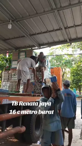 ttp berjuang dijalur masing masing #fypシ゚viral  #fyp  #firaltiktok🔥🔥🔥✌️  #metro  #pekalongan  #batangharilampungtimur  #trimurjo  #metrolampung  #arwanauno  #kramikmurah 