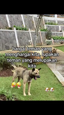 enjoy😝😝 #temen #anti #btb #masukberanda #katakata #nyindir 
