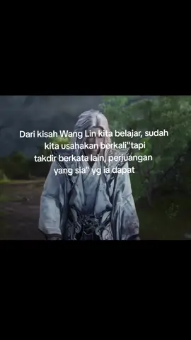 😥😥 #wanglin #renegadeimmortal #donghua 