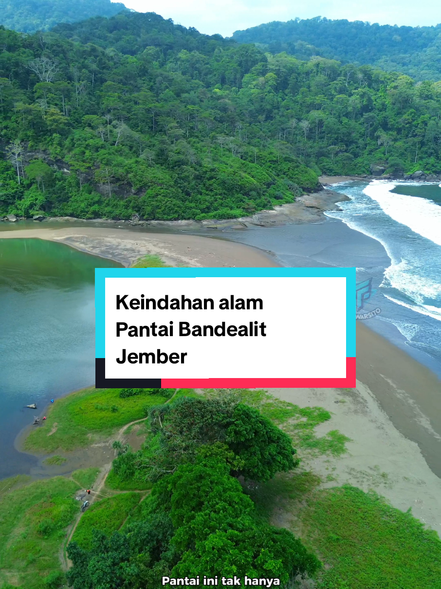 Keindahan Alam Pantai Bandealit Jember  #Jember #fyp #tejowarsito #pantaibandealit #pantaijember  #pantaibandealitjember #pesonajember #explorejember #dronevideo #kabupatenjember #jembertiktok #jember24jam #wisatajember #jawatimur  #pesonaindonesia 