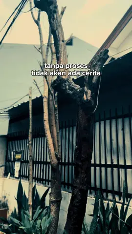 Tanpa proses #fyp #storywa #quotes #fypviralシ #viral #CapCut 