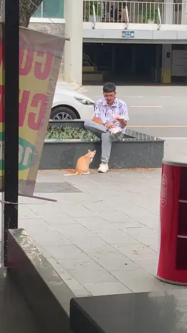 khó khăn quá :(  #meocute #cat #catsoftiktok #catlover #meow #cute #cutecats #meomeo #daomeo #meodethuong 