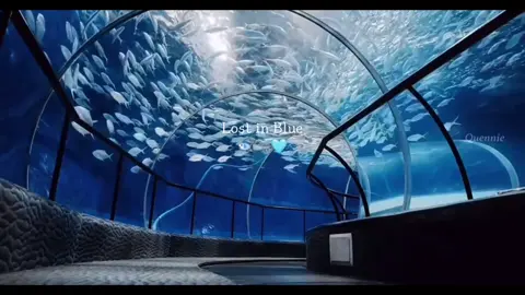 🫧🐬 #bluee#blueyoungkai #blueftminnie #aquarium #fyppppppppppppppppppppppp 
