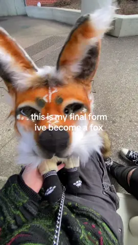 • #valley • smoke wolf? nahh.. fox.. look at my mask and tail >:3 #hehim #caninebioterms #avianbioterms  < tags > #dssa #disabilitysupportstuffedanimal #actuallyautistic #disabled #plushies #stuffedanimal #essa #emotionalsupportstuffedanimal #therian 