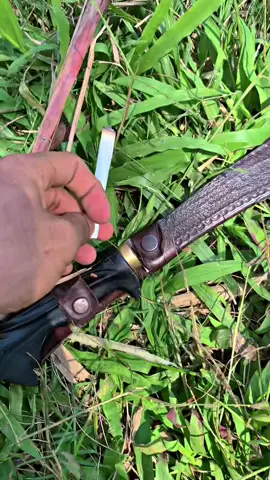 Seng penting nyeni bolo 