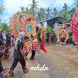 Barong tejo wungu #jarananbanyuwangi #barongprejeng #barongbanyuwangi #senibanyuwangi #singorojopurwosakti #jaranansingorojopurwosakti #fyp #fyypppppppppp 