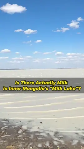 Is there really milk in the 