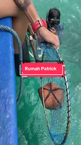 Dapat rumah patrick guysss  sorry yee heboh sendiri 🗿🗿 #bintan #tanjungpinang #kepri #budakmelayu #bintanglaut #seastar #spongebob 