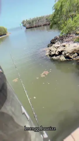 mancing aja di pap in sama pacar🤭🤭 #fyppppppp #bautistaapablaza #xybca #handsome #bismillahfyp #tiktokpelitfyp #bauti #4u  #masukberandafyp 