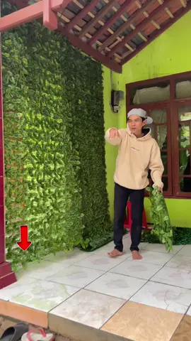 pagar daun rambat hiasan dinding panjang 3 meter #pagardaunrambat #pagardaunrambatdinding #pagardaunhiasan #daunrambat 