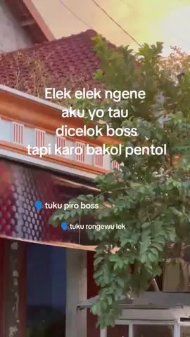 aku yo tau dicelok boss#bakolpentol#sragen24jam #fypシ゚ #sragen24jam #masukberandafyp 