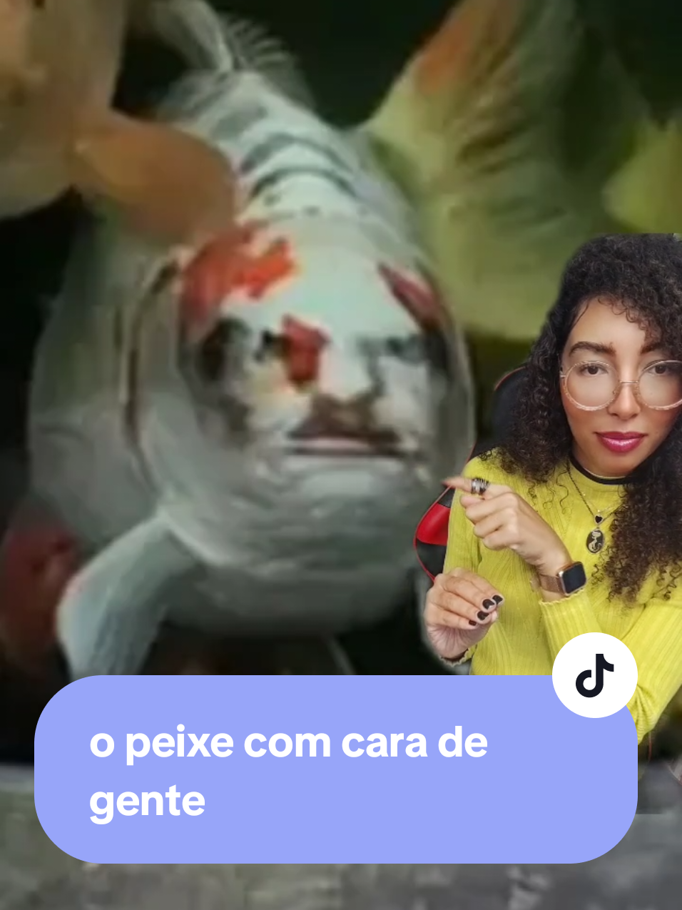 Fonte(Extra,Daily Mail)
 Caso Bob, a Carpa com Rosto Humano Conheçam Bob, a carpa koi mais bizarra de Leeds, Inglaterra!   Em 2024, esse peixinho virou sensação mundial por causa das manchas na cabeça que formam um rosto humano, com olhos, nariz e boca!  Tudo começou quando Malcolm Pawson, o dono, comprou Bob por apenas £150 (cerca de R$ 1.100) há três anos.  Com o tempo, as marcas evoluíram, e hoje ele é avaliado em até R$ 50.000!  Mas Malcolm não vende de jeito nenhum, instalou até câmeras pra proteger seu tesouro vivo!  Esse caso curioso não é um true crime, mas uma história de natureza maluca que atrai gente do mundo todo.  Conta nos comentários o que acha desse peixe único! Siga pra mais bizarrices!   #casobizarro #bizarro #bizarrice #truecrime  #carpa #curiosidade 