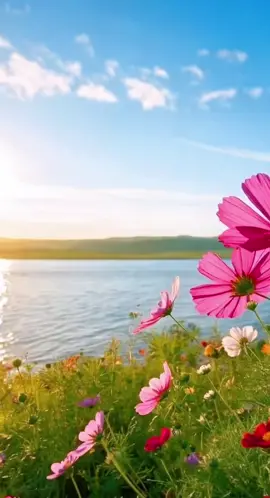 #foryou #trending #thugian #calmvibes #relaxmoment #aivideo #aiartgenerator #aesthetic #motchutbinhyen #relaxingvideo #aivibes #aichannel #aicreative #aivideogeneration #aigeneration