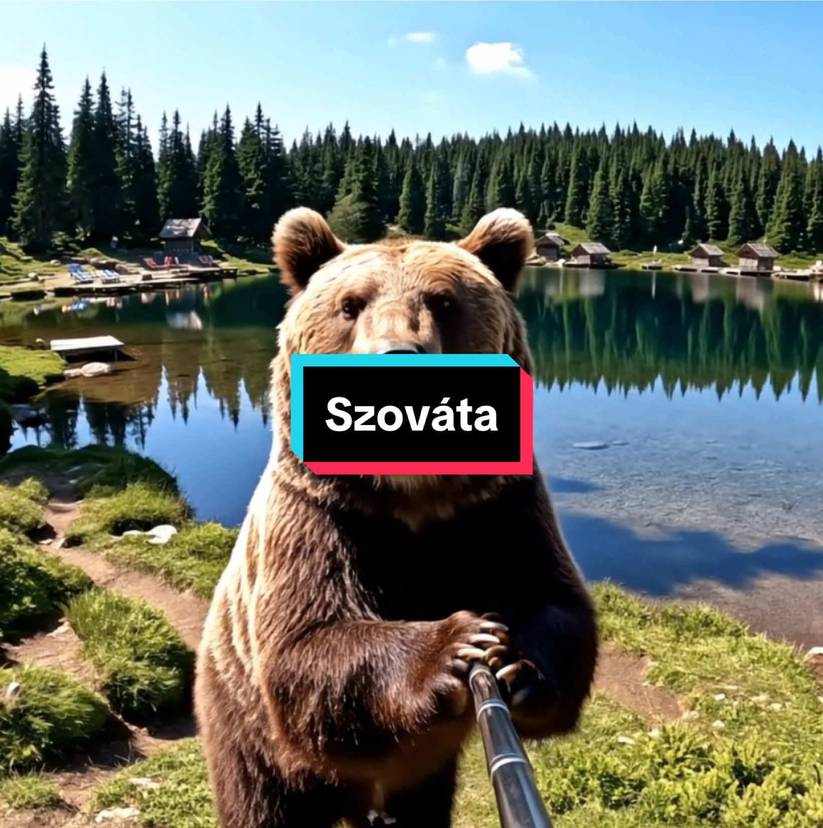 Megjárjuk magunkat. Itt,ott, amott…  Ird meg merre tovább! #székelybear 