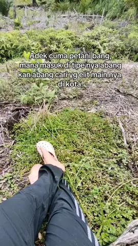 iya kh bang 😂 #lewatberandafyp #justkontenツ #anakpetanisawit #lahansawit #fypage #petanisawit🌴 #menyalaabangkuh🔥🔥🔥🔥🔥 #kebunsawit #petanisawitkalimantan #sorotandunia #lewatberandamufypシ゚viraltiktok 