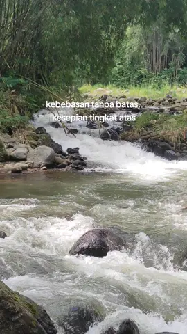 opoo ikii🗿#darkangler #lempon #mahseer #mahseerpegunungan #arusderas #mancingliar 