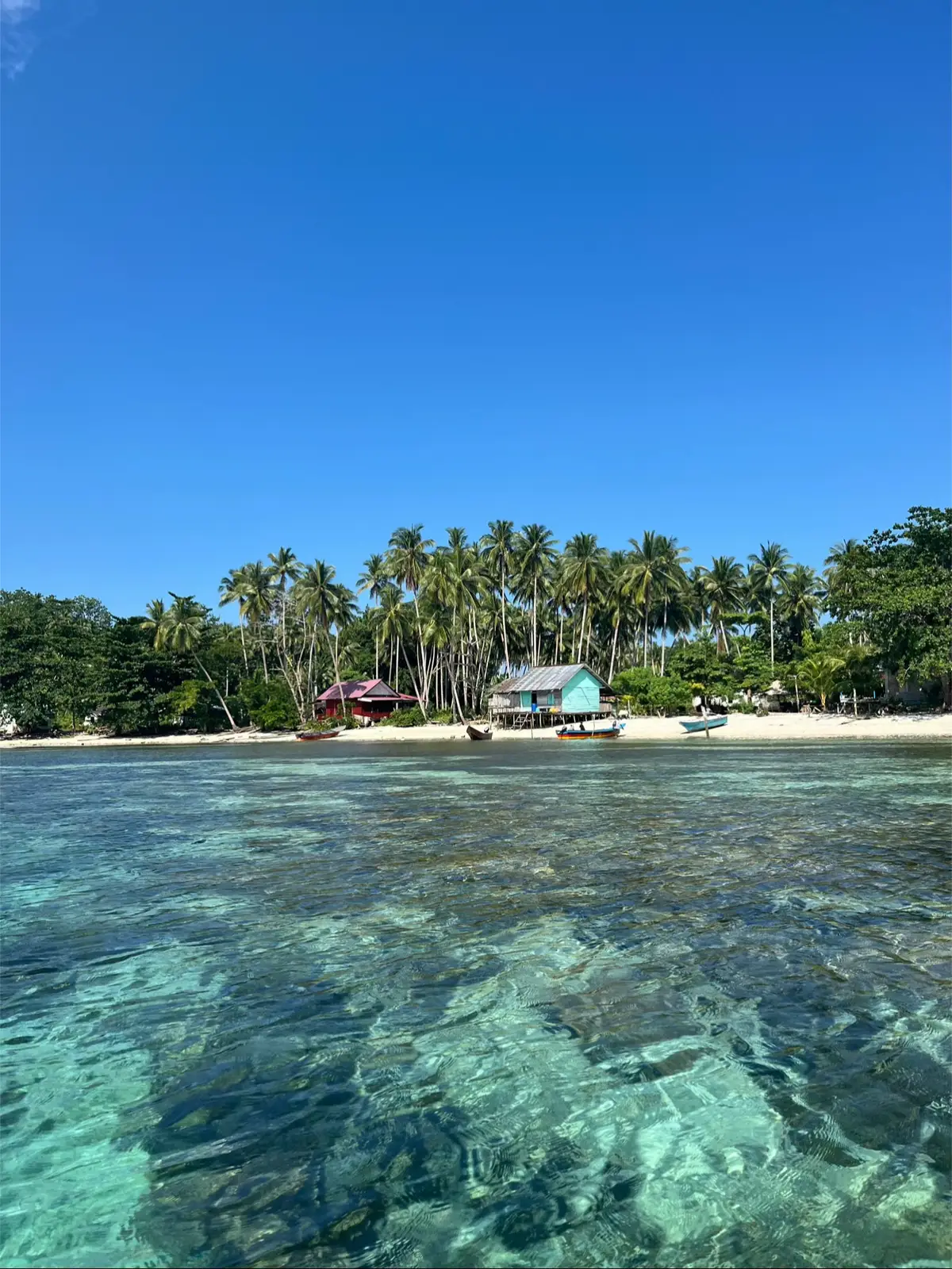 cantik, banget. 🤍🌊🐚 #rajaampat #rajaampatislands #pesonaindonesia #friwenisland #foryoupage #foryou 