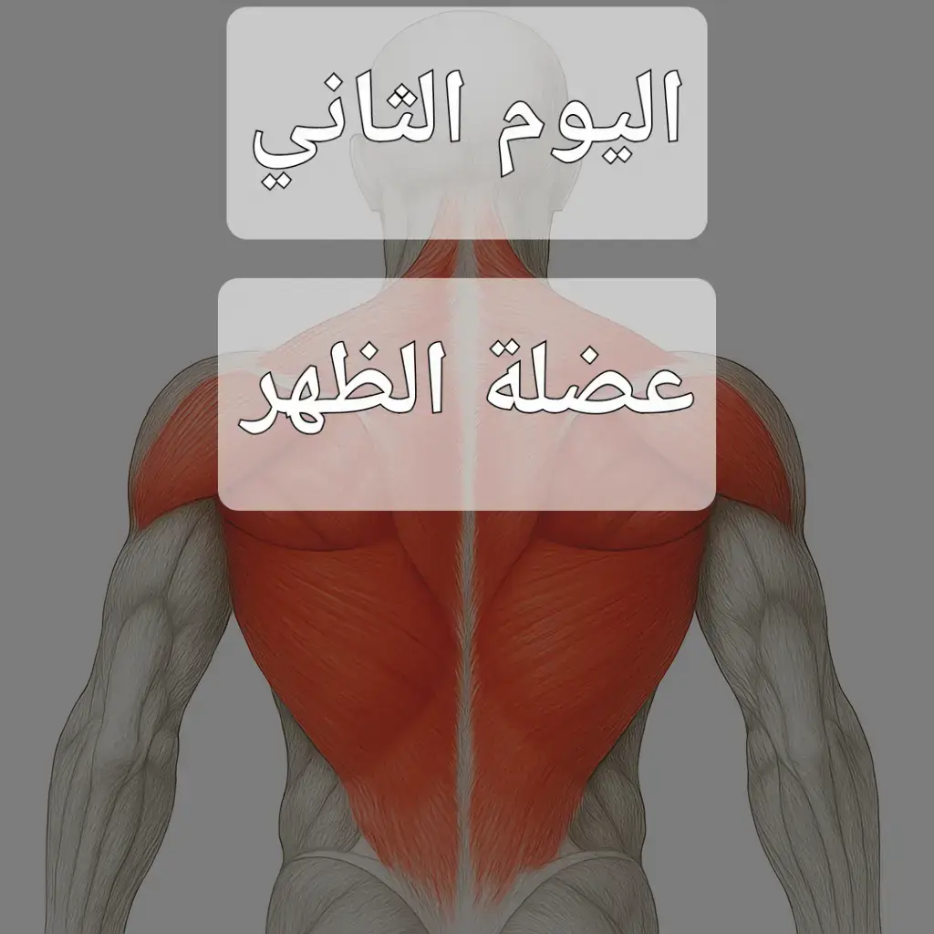 #gym #GYM #كمال_الاجسام #الجزائر ##الجزائر🇩🇿 