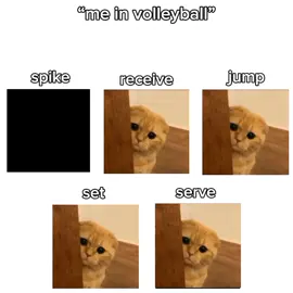#fyp #volleyball #fyppppppppppppppppppppppp 