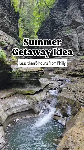 This place is gorge-ous! 😍 The Finger Lakes Region, specifically Watkins Glen and Ithaca - is the perfect summer getaway!! Between the multiple waterfalls, the beautiful hiking trails, and the lake activities, it's the perfect spot to enjoy the summer weather.  You can even swim at the base of waterfalls at some of the parks! This area of New York is a must-see destination. We loved the Watkins Glen GorgeTrail, watching the sunset on Seneca Lake, and checking out the shops in town in Watkins Glen. Ithaca has even more to do, with Buttermilk Falls State Park, Taughannock Falls, the Cayuga Nature Center and Treehouse. And also, the multiple waterfalls in town. Plus the gorgeous gardens at Cornell!  And for an extra activity- visit the Corning Museum of Glass in Corning! It's totally worth it.  This area is less than 5 hours from Philadelphia and Pittsburgh, and is perfect for a long weekend or week long excursion.