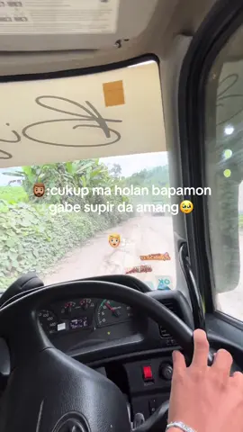 boha baenon among🙃#supirpanjang #haulingbatubara #drivermuda 