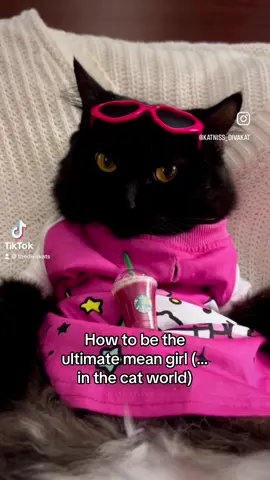 Part 4 | Claws-Out! Feeling Fabulous  #howtobetheulimatemeangirl #catmeangirl  #meangirls #onwednesdaywewerepink #funnycats #funnyvideos #fyp #fypシ #fypシ #cats #catsoftiktok #thedivakats #thedivakats2 #conversationswithacatlady 
