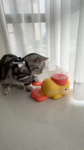 🦆🐾 **Snack time just got *quack-tastic*!** 🎉 Turn mealtime into playtime with the **DUCEK Little Yellow Duck Feeder Toy**—your cat’s new favorite puzzle pal! 🧩✨ Spin the duck, release the treats, and watch your clever kitty *hunt* for their kibble like the tiny predator they are. 🕵️♀️🍪  👉 Swipe to see how it *slows down eating* and burns energy (bye-bye, midnight zoomies!).  👉 Interactive design + durable materials = endless fun for curious cats *and* entertained humans. 🙌  💬 Comment “QUACK” below to treat your feline to a snack-filled adventure! 🐱🎣  🛒 Tap the link in bio to grab yours—*because even meals deserve a game!* 🦆🚀  #CatToys #PuzzleFeeder #DUCEK #InteractivePlay #CatLovers #SlowFeeding #BrainGames #HappyKitty  —  **P.S.** Warning: May cause *extreme* paw-tapping and duck obsession. 😼🦆  —  *Let me know if you’d like to add material details, sizing, or a promo code!* 🛠️🎁
