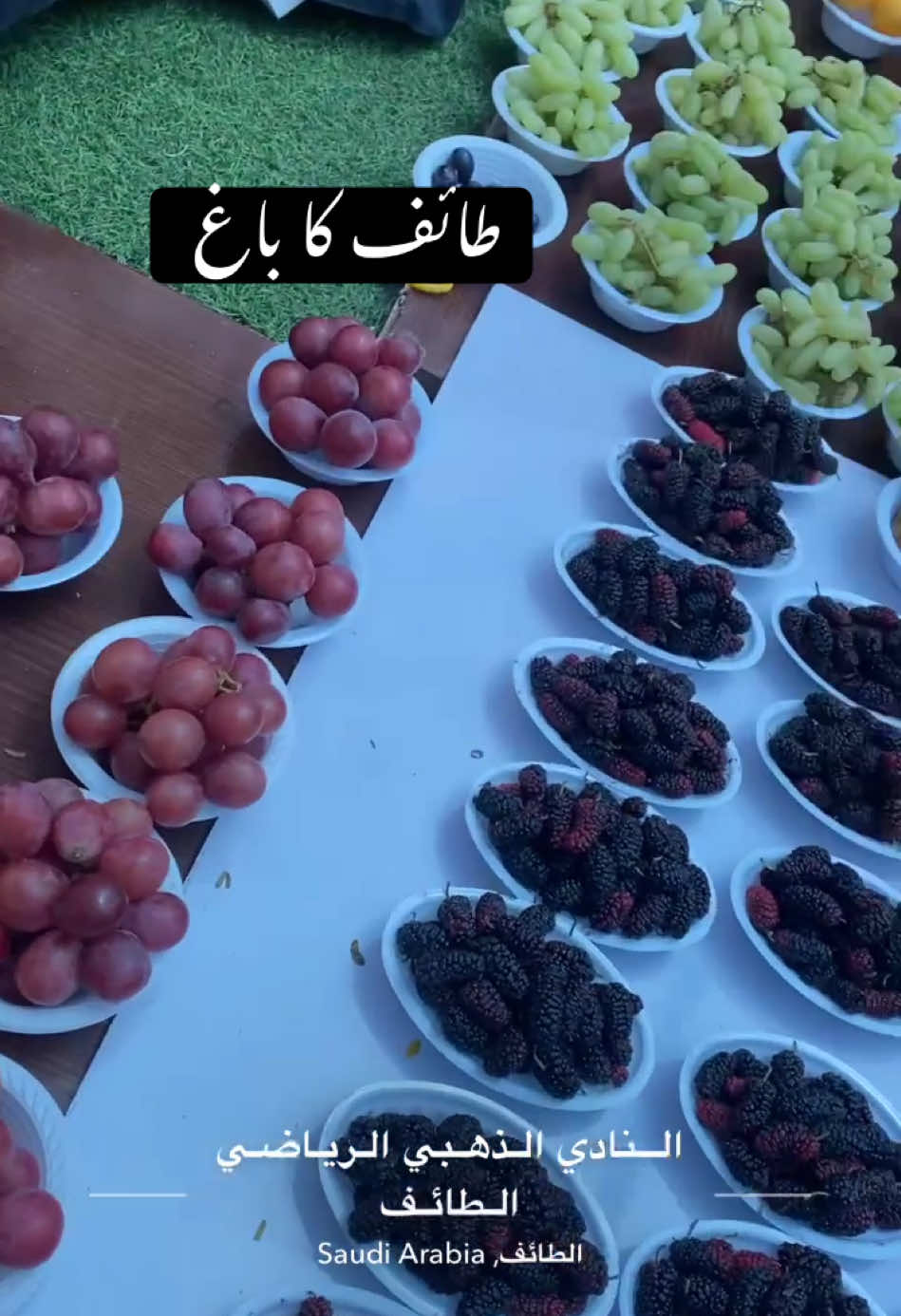 #CapCut #trending #fypシ゚viral #tiktok #1m #arazziq #madina #taif #makkah #foryourpage #fyp #foryou #views #foryoupage 