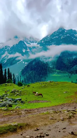 Pahad aur Sukoon 🏔️ #foryourpage #foryou #fyp #kashmir #kashmirvalley #viraltiktok #viralvideo #nature #sukoon #views 