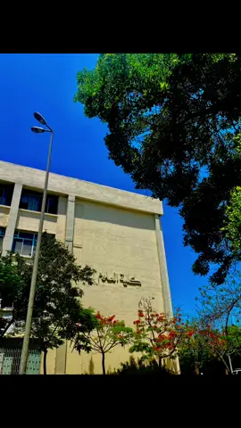 المكان اللي فيه ذكرايات خمس سنين 🥹#علوم #كليه_علوم #جامعه_المنصوره #fyp #foryou 