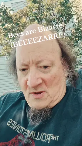 #bumblebee 