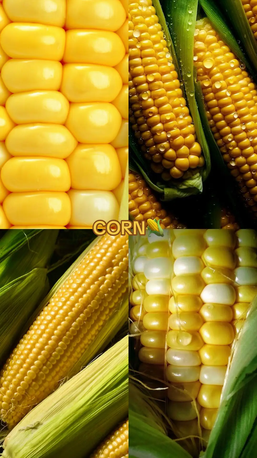 #corn #reels #Foodie #easycooking #foryou #fyp #bater #streetfood #street #FoodTok 