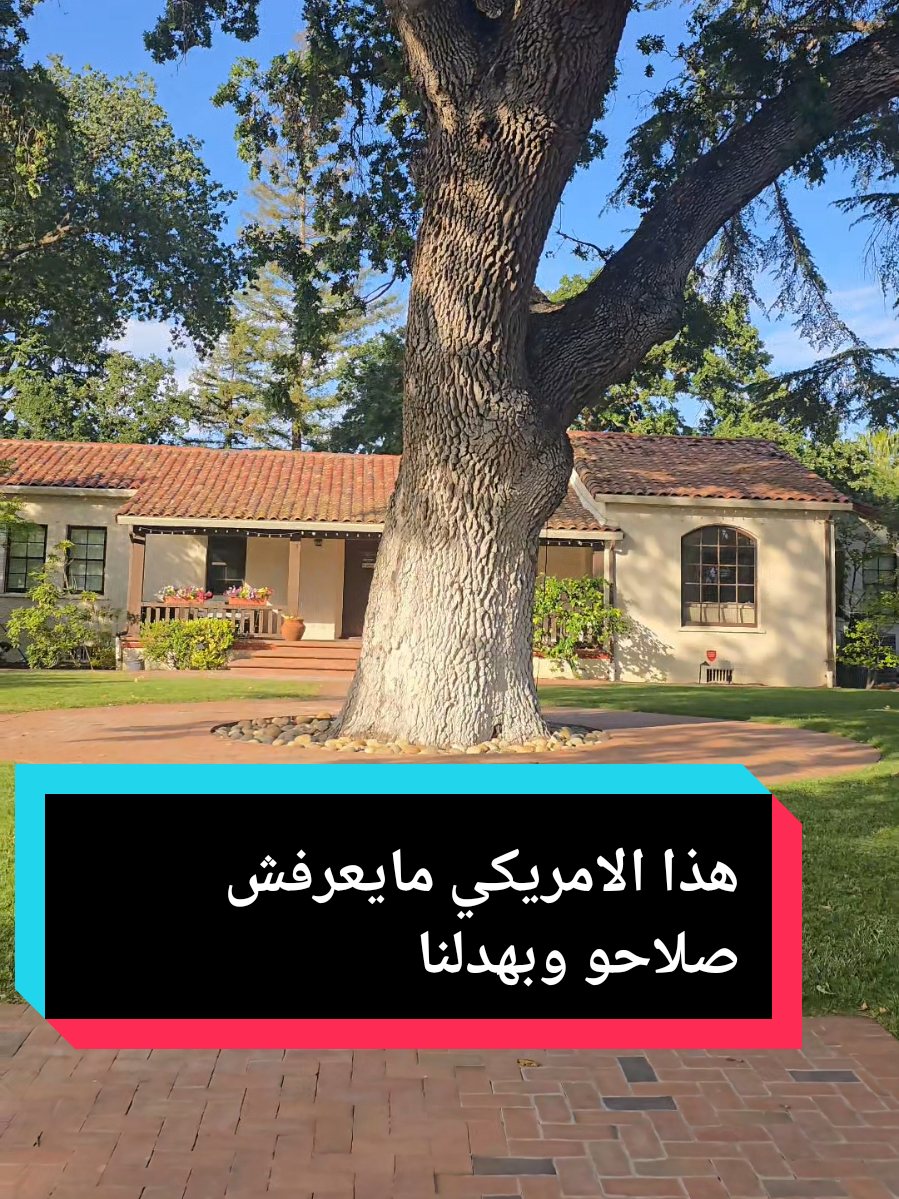 #الجزائر_تونس_المغرب #الجزائر #المغرب #الحياة_في_امريكا #fyp #hicham_california 