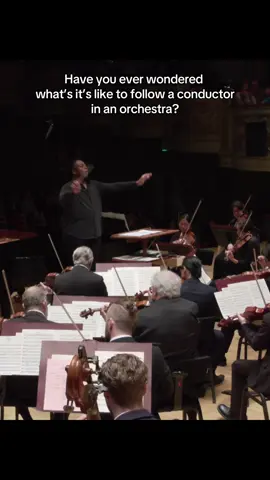 Carnival Overture by Dvorak #fyp #reels #orchestra #blackboyjoy #opera #classicalmusic 