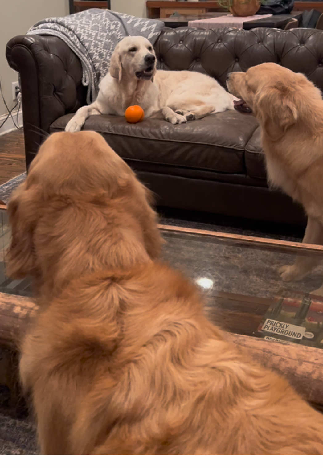 whenever banks gets the ball…all bark no bite 🙉