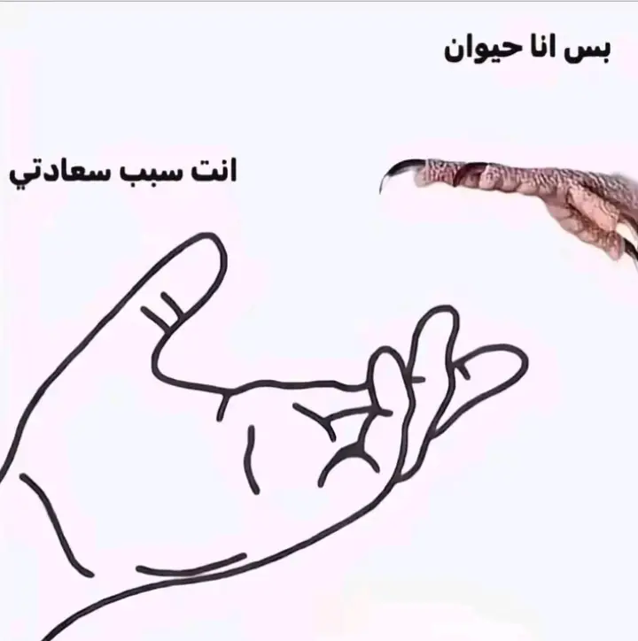 #زواجل_بن_الحسن★ #لوفت_بن_الحسن★ #صلوا_على_رسول_الله #الزاجل_عشق_لاينتهي❤️🕊️؛ #ابن_الحسن★ 