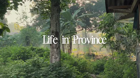 Missing home 🏠  #provincelife #cinematic  #cinematography #fyp  #filmmaking #shotoniphone 