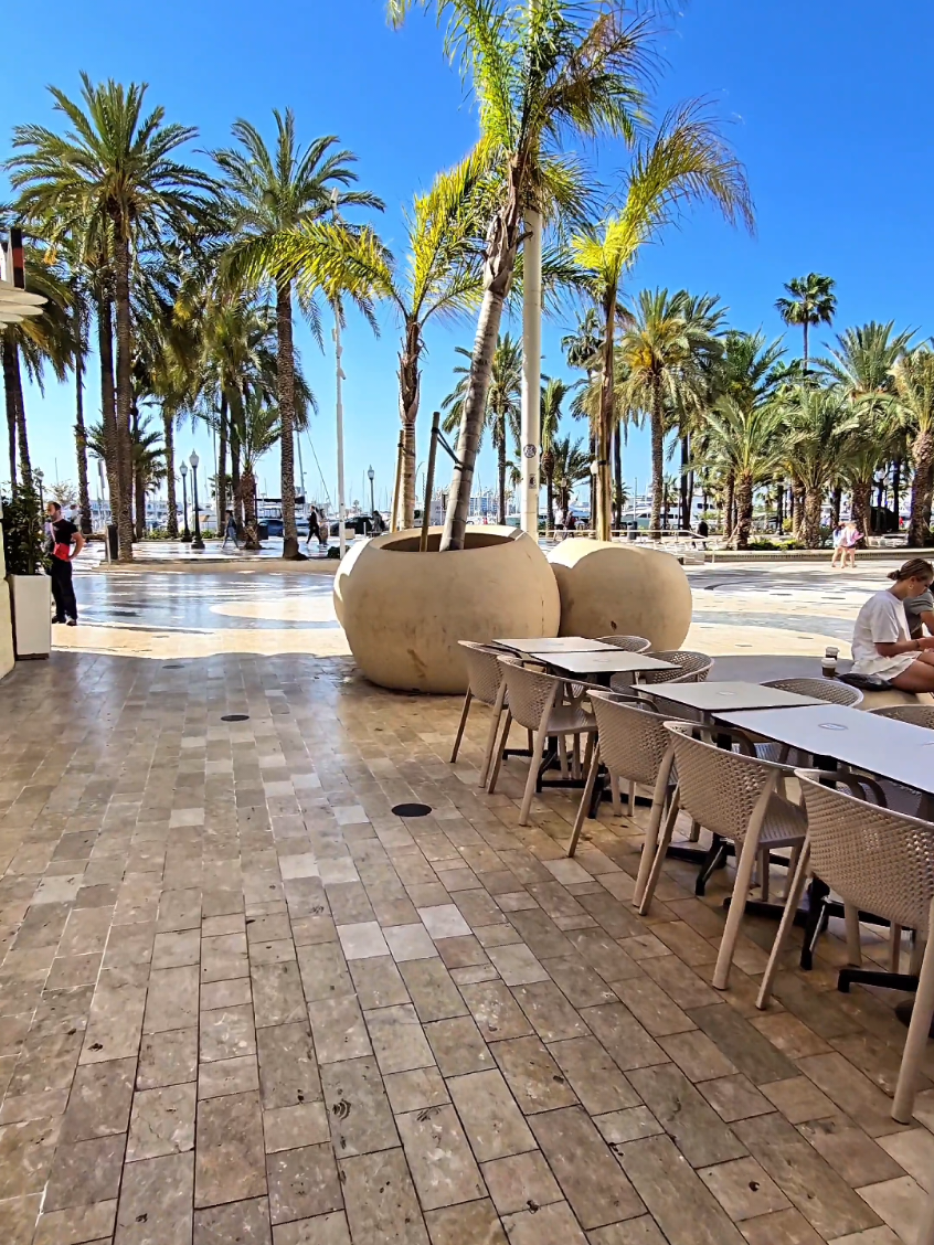 Alicante,Spain🌴🌞🌴🌞🌴 #alicantecity #sun #sea #spain #palmtrees #españa #visitspain #travelspain #travel #sunrise #beachvibes #spania🇪🇦 #espagne #sunnyday #spain🇪🇸 #alicante #alicante🇪🇸 #alicantespain #f #fyp 