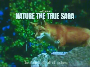 𝐧𝐚𝐭𝐮𝐫𝐞 𝐭𝐡𝐞 𝐭𝐫𝐮𝐞 𝐬𝐚𝐠𝐚 #nature 