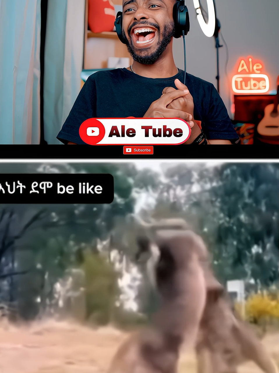 የሌላዉ እህት Vs የኔ እህት be like 😂