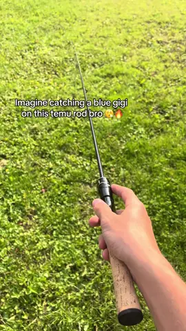 New wip fron Temu😂😂 temu rod#temudeals #river #FishingGear #temu #FishingTest #🎣🔥 #boys #fisherman #temufinds #FishingGear 
