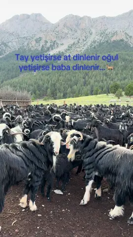 #beniöneçıkart #01Adana #kesfetteyiz #toroslarınzirvesinden 